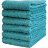 Bumble Kitchen Towels | 100% Cotton Dish Towels with Hanging Loop | 16″x 28″ | 380GSM | Absorbent Kitchen Towel Set | 6 Pack, Aqua(Aqua – Solid)